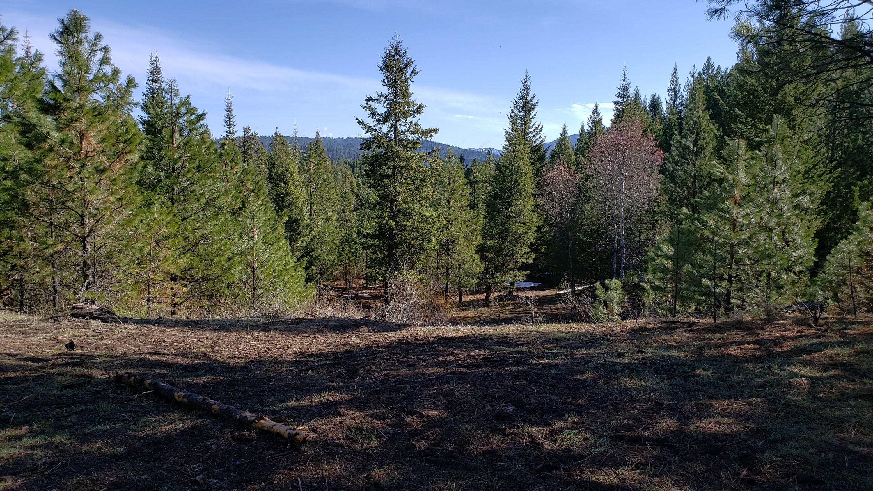 Cascade Lake Realty Bare Land Over 300K
